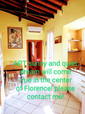 Apt bright, quiet! In the center. Florence
